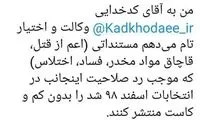 توئیت صادقی خطاب به سخنگوی شورای نگهبان