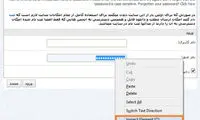 مشاهده رمز های تایپ شده در فایرفاکس