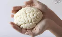 ۵ تمرین عالی برای تقویت حافظه و ذهن