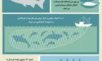 اینفوگرافی: حقایق جالب درباره ماهیگیری