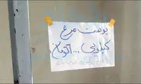 فروش پوست مرغ؛ تلخ اما واقعی