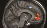 خوشحالم که ˝تو ˝ در زندگی‌ام هستی!