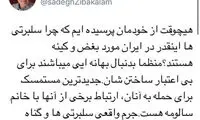 حمایت زیباکلام از سلبریتی‌های مرتبط با سالومه