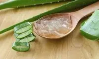 هشت خاصیت آنتی اکسیدانیِ آلوئه‌ورا