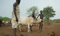 قبیله خونخوار