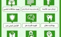 خواص دارویی و درمانی برگ نعناع کدام هستند؟