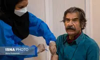 واکسن برای مهرآوران و اطلسی ثمری نداشت؟