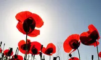 تصاویری دیدنی از طبیعت زیبای ارسباران