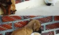 یاد بگیریم چگونه کدورت ها را کنار بگذاریم