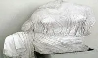 خواهران پنه‌لوپه واقعی یا جعلی؟ +عکس