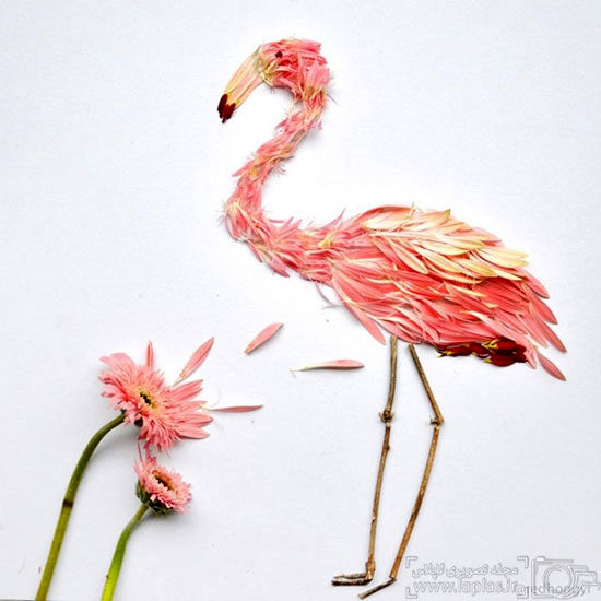 عکس: پرنده هایی از جنس گل