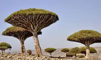 تصاویری از عجیب‌ترین مکان های کره زمین