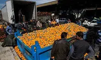 عکس: فاسد شدن پرتقال های شب عید