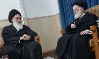 دیدار آیت‌الله علوی بروجردی با آیت‌الله شبیری