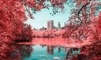 پارک مرکزی نیویورک در مادون قرمز!
