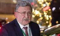 اولیانوف: مذاکرت وین هنوز به زمان نیاز دارد