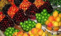 قیمت میوه‌های نوبرانه شکست
