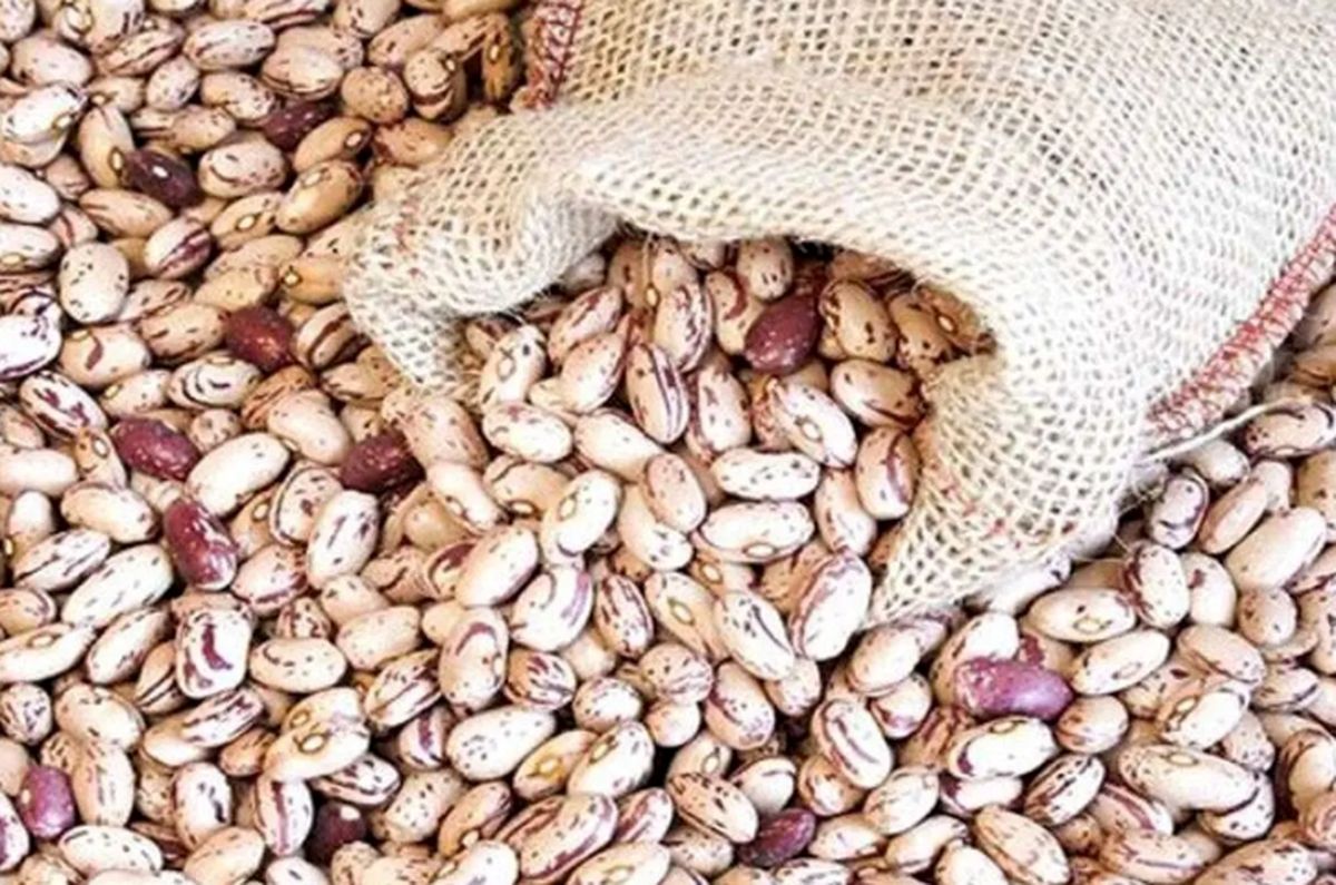   لوبیا چیتی در روزهای اخیر تبدیل به مساله شده است 