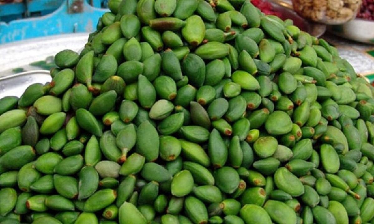خطر مسمومیت شدید با مصرف این نوع چغاله