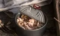 آیا خوردن روزانه ماهی تُن بی‌خطر است؟