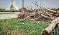 ماجرای خبرساز قطع درختان در میدان آزادی