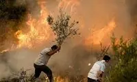 تصاویری تازه از آتش‌سوزی شدید جنگل‌ها در ترکیه
