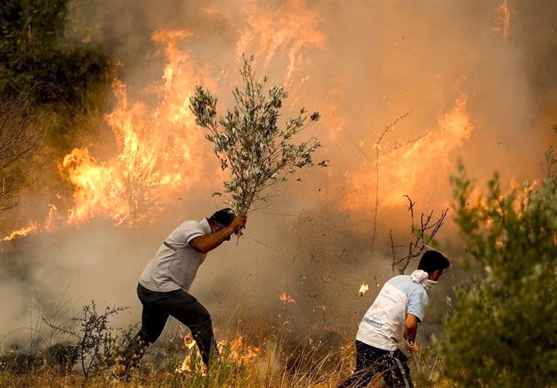تصاویری تازه از آتش‌سوزی شدید جنگل‌ها در ترکیه