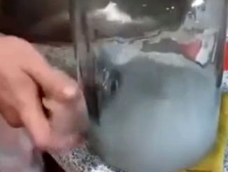 یک ترفند هوشمندانه برای شستن بطری کثیف