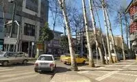 بنر تبریک همسر یک مسئول، در سطح شهر خبرساز شد