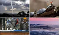 تصاویر باورنکردنی که بدون فتوشاپ منتشر شده‌اند
