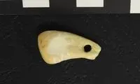 استخراج DNA انسان عصر حجر از گردنبند ۲۵هزار ساله!