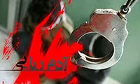 نجات چهار تبعه خارجی از چنگال گروگان‌گیران در تهران
