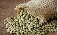 این افراد به هیچ عنوان عدس نخورند