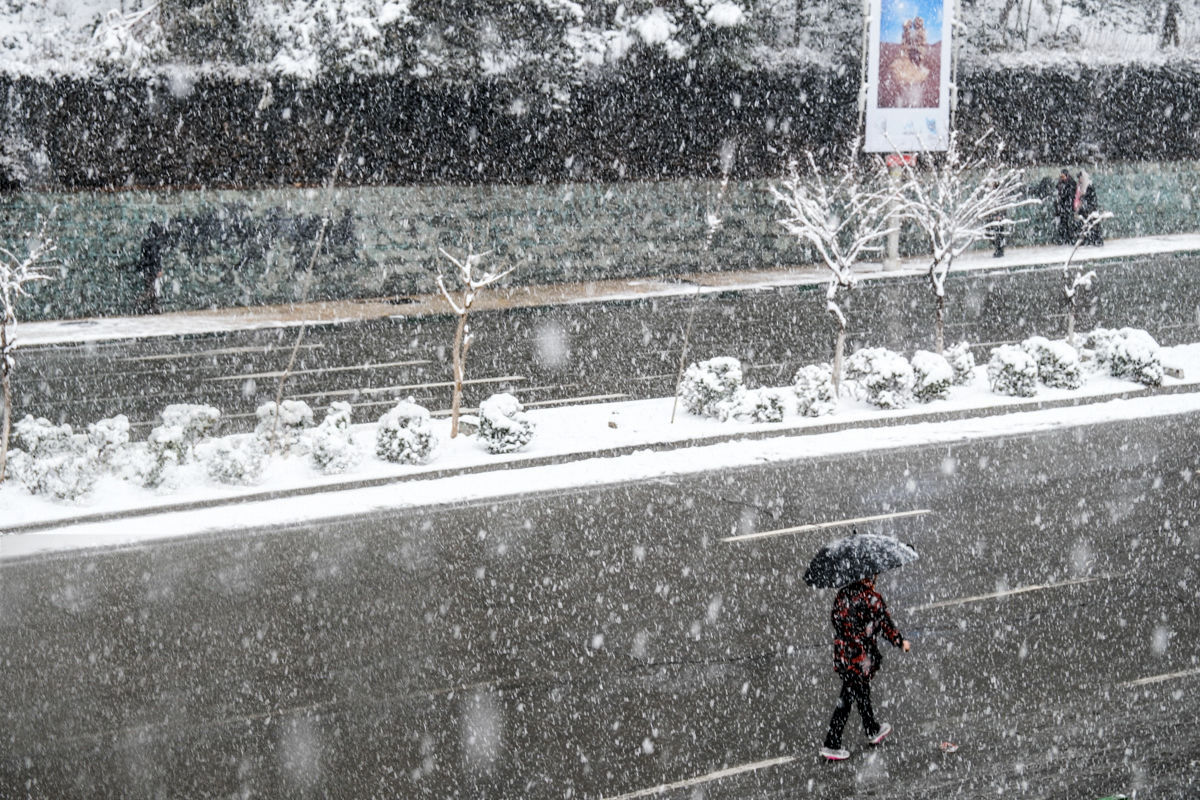 تصاویر زیبا و دل‌انگیز از بارش برف در تهران