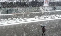 تصاویر جذاب و حال‌‌خوب‌کن از بارش برف در تهران