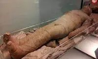 مرگ مرموز دانشمندانی که مقبره پادشاه را گشودند