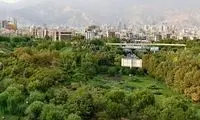 4 قاب خیلی‌سبز از تهران که بوی شمال می‌دهد