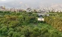 4 قاب خیلی‌سبز از تهران که بوی شمال می‌دهد