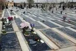 مُردن در تهران 600 میلیون تومان هزینه دارد!