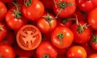 قیمت جدید گوجه‌فرنگی اعلام شد