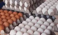 با صادرات تخم‌مرغ موافقت شد
