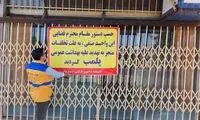 مرغ‌های تاریخ گذشته، کار دست فروشنده متخلف داد
