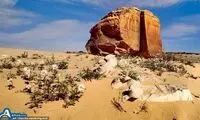 عکسی از یک پدیده نادر و عجیب در عربستان