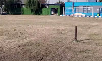 چمن یک ورزشگاه دیگر تهران زیر کشت رفت