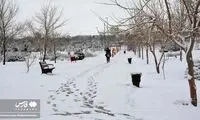 تصاویری زیبا از برف سنگین در تکاب و یک شهر دیگر