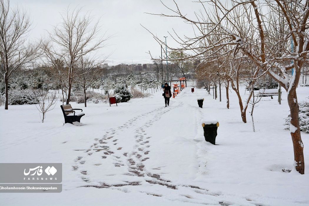 تصاویری زیبا از برف سنگین در تکاب و یک شهر دیگر