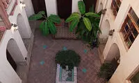 اقدام دلگرم‌کننده پزشکیان در ماجرای فستیوال کوچه