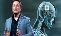 اقدام جدید ایلان ماسک برای توییتر!