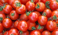 خواص دارویی شگفت‌انگیز گوجه‌فرنگی