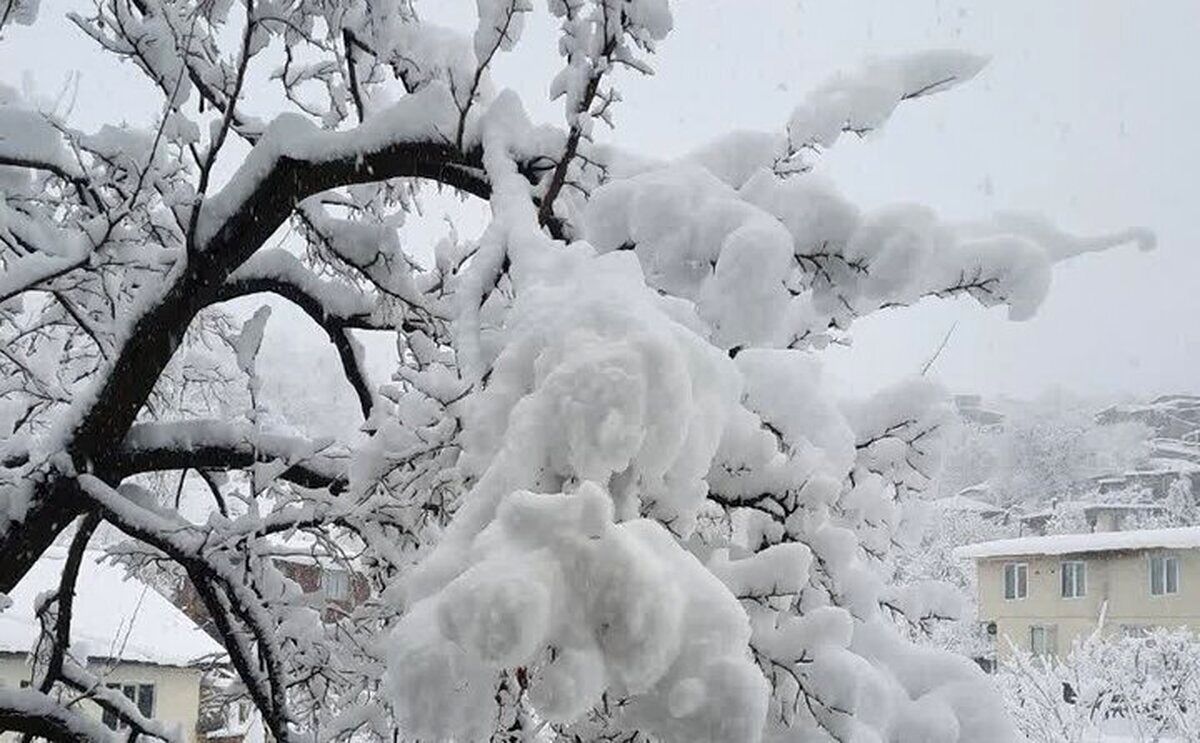 اختلاف دما در ایران به ۴۹ درجه رسید